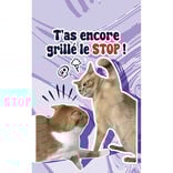 Parfum d'ambiance pour voiture senteur lavande