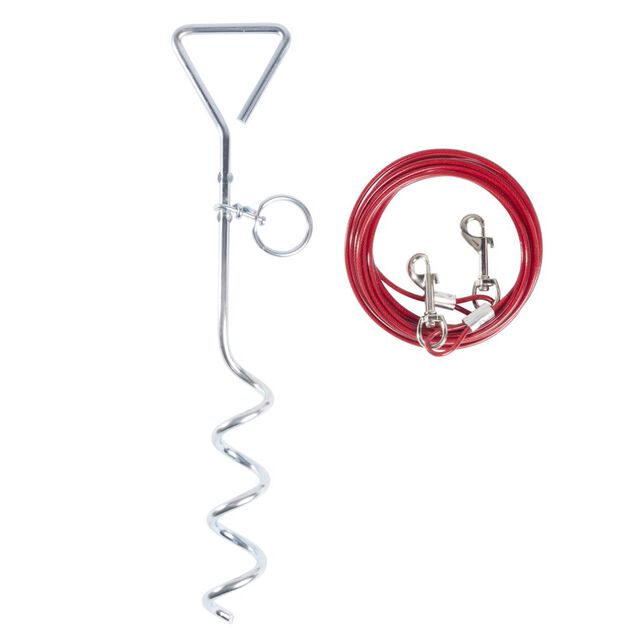 Piquet attache chien m&eacute;tal 4m