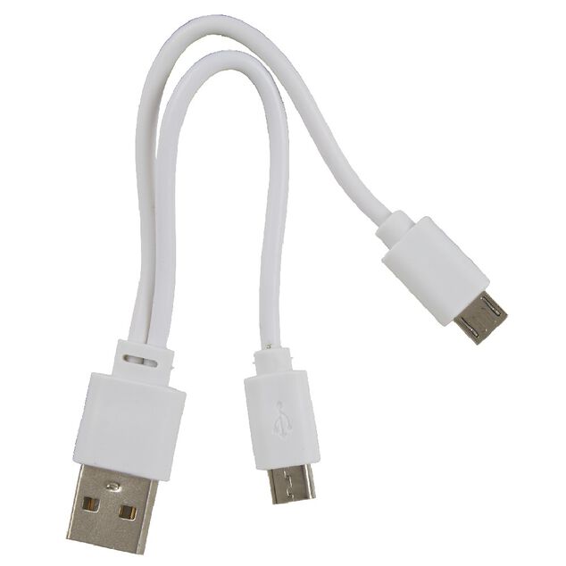 Pile rechargeable USB x4