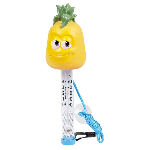 Thermom&egrave;tre piscine fruits