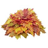 Coussin feuilles d'érable artificiel orange Ø40xH20cm