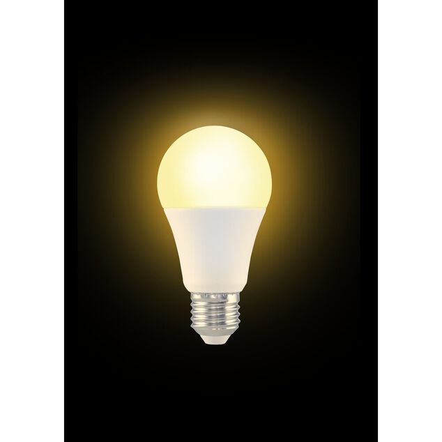 Ampoule LED E27 A60 blanc chaud 11W=70W 1055lms classe F