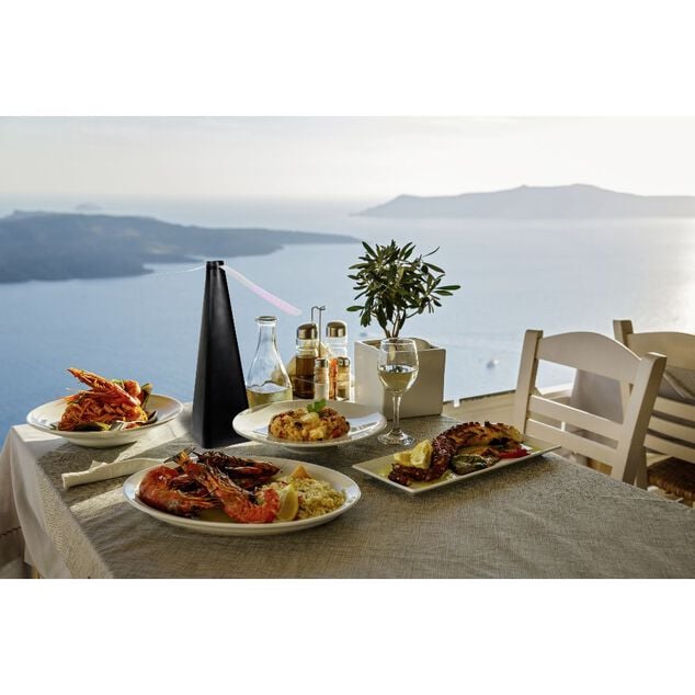 Ventilateur antimouche