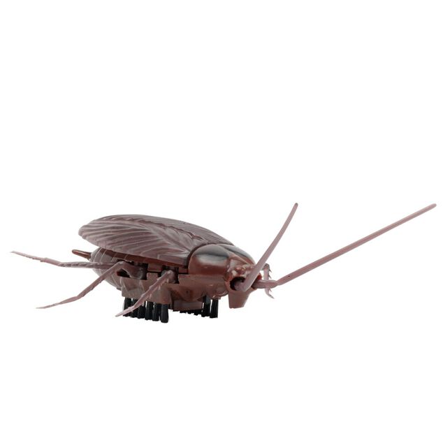 Insecte anim&eacute; farce et attrape L10cm (3 mod&egrave;les)