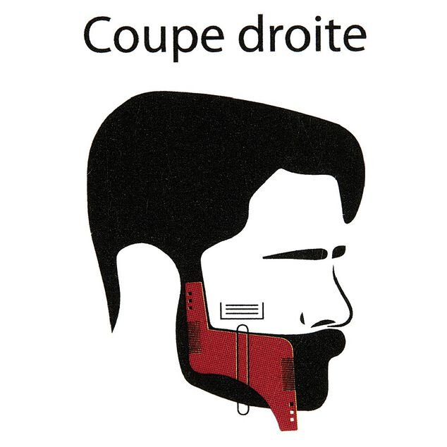 Guide et peigne 2 en 1 pour entretenir la barbe