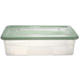 Box dessous de lit transparent et vert 30L