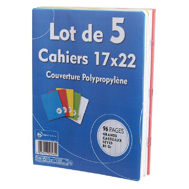 Cahier grands carreaux couverture rigide 96 pages 17x22cm x5