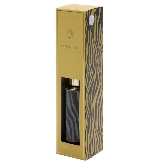 Diffuseur 100ml en verre &Oslash;5xH11,5cm (2 mod&egrave;les)