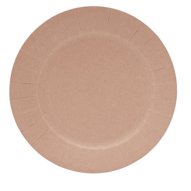 Lot de 10 assiettes en carton &Oslash;18cm rose