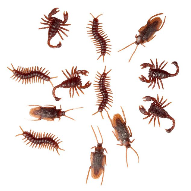 Insecte factice x12 farce et attrape plastique marron