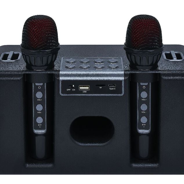 Enceinte karaoké 2 micros Homday Party