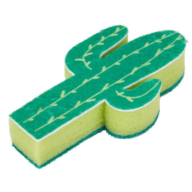 &Eacute;ponge cactus