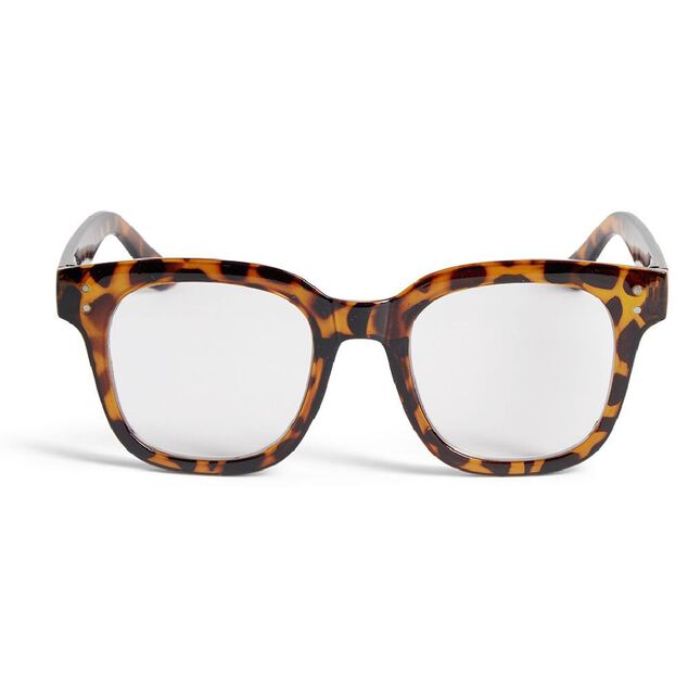 Lunettes de lecture avec étui plastique (4 modèles)