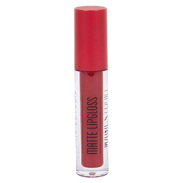 Gloss avec crayon &agrave; l&egrave;vres Magic studio
