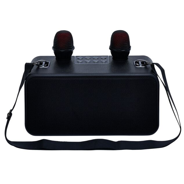 Enceinte karaoké 2 micros Homday Party