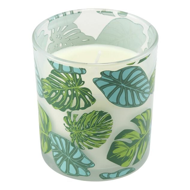 Bougie parfum&eacute;e dans pot verre feuillage phosphorescent &Oslash;8,5xH10cm (3mod&egrave;les)
