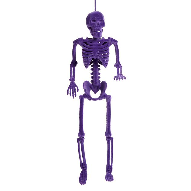 Squelette &agrave; suspendre Halloween H40cm