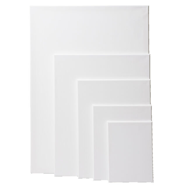 Toile &agrave; peindre blanche ch&acirc;ssis bois x5 (18x24/24x30/30x40/40x50/50x70xcm)