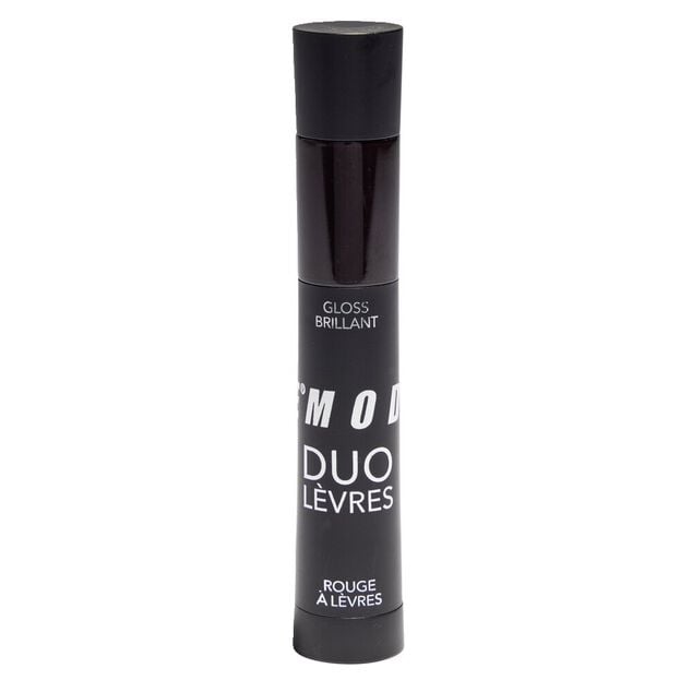 Duo levres gloss et rouge a levres assortie
