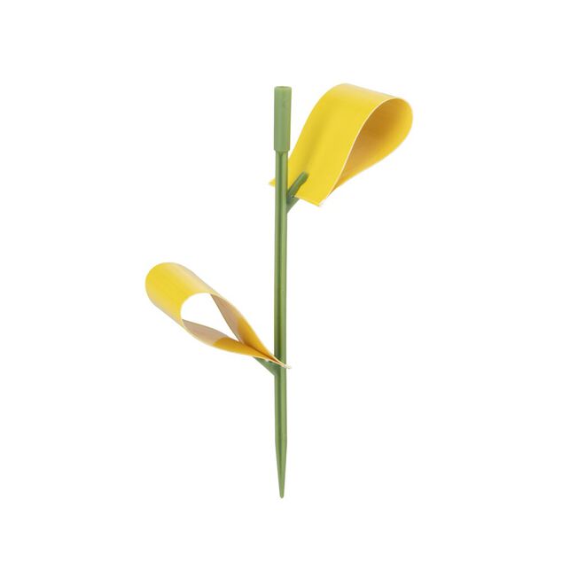 Pi&egrave;ge collant insecte volant b&acirc;tonnet &agrave; planter H13,5cm (4 pi&egrave;ces)