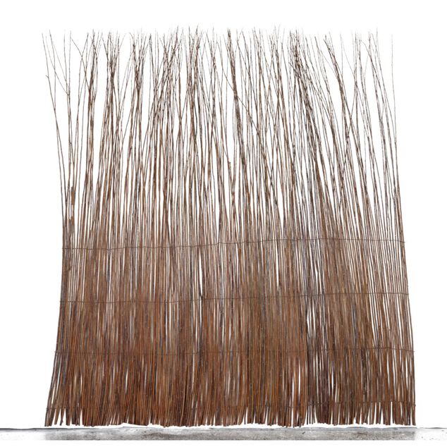 Brise-vue branche osier L200xH200cm