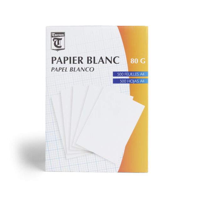 Lot de 500 feuilles de papier blanc A4 80g