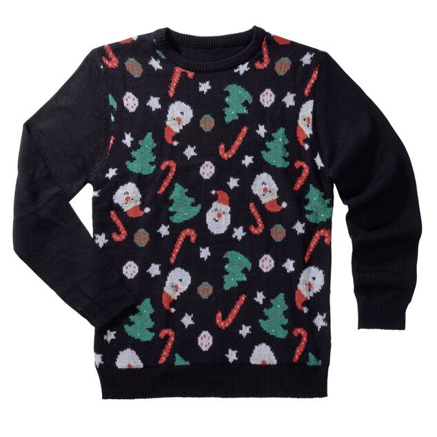 Pull de No&euml;l adulte