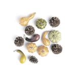 Lot éléments décoration automne plastique 3 modèles