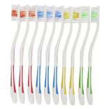 Brosse &agrave; dent x10