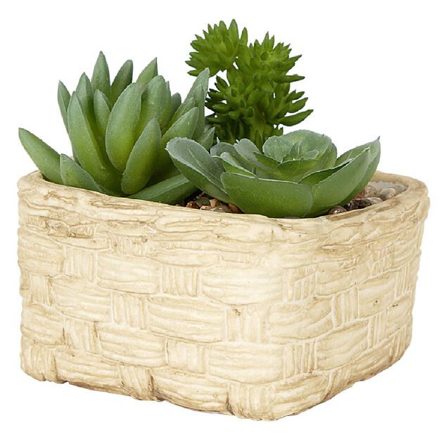 Plante grasse artificielle pot c&eacute;ramique style panier effet pierre