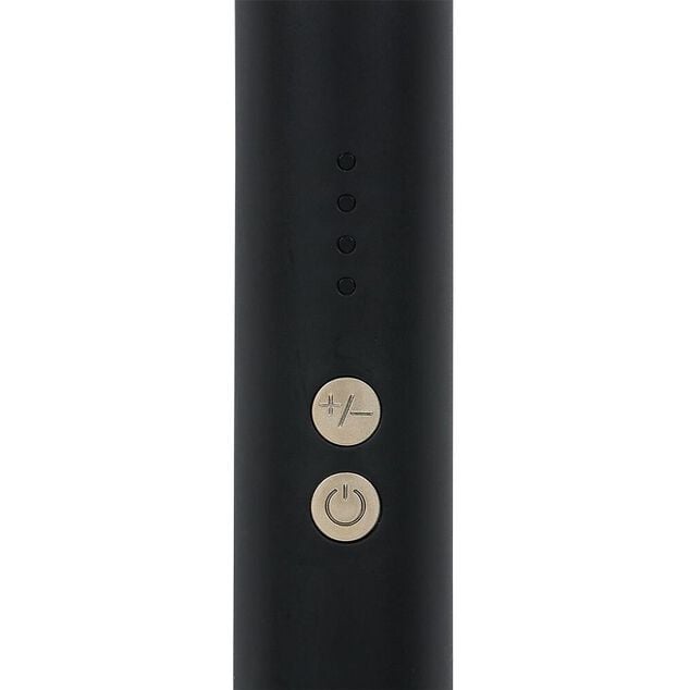 Fer à lisser noir 100/240V