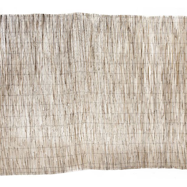 Canisse en paillon de roseaux pel&eacute;s L500 x H150 cm