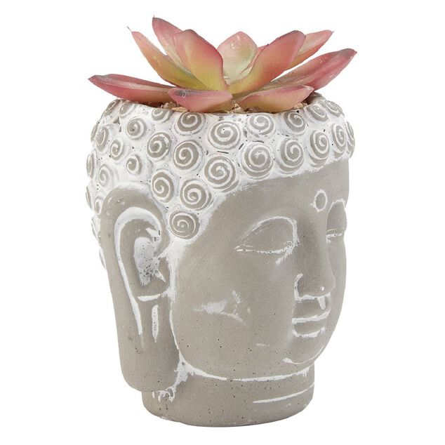 T&ecirc;te Bouddha avec plante