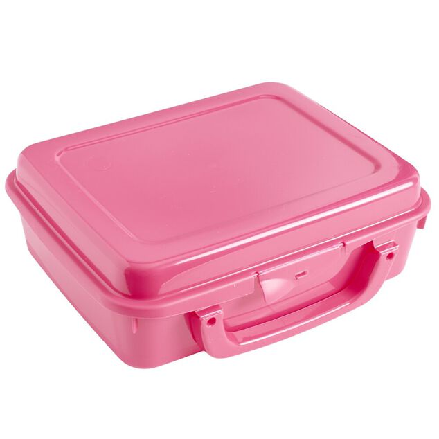 Bo&icirc;te &agrave; sandwich rectangulaire plastique color&eacute; 20x16xH7cm (3 mod&egrave;les)