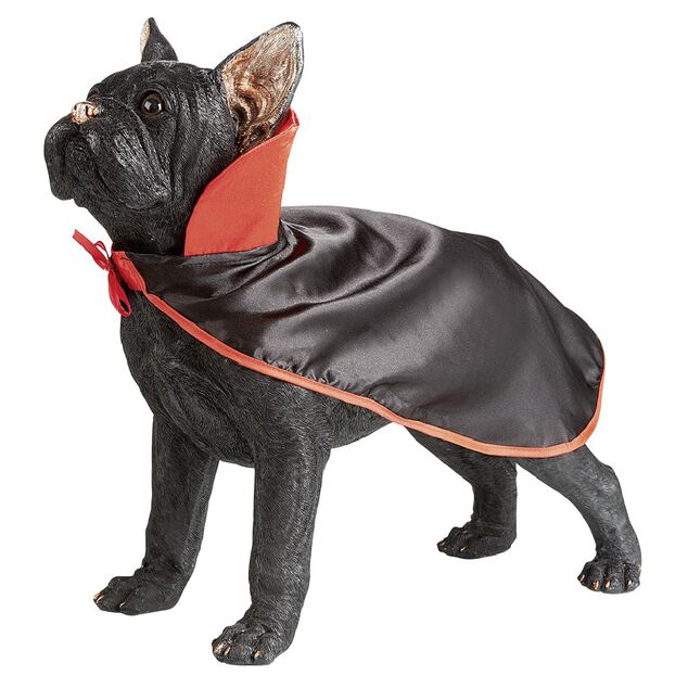 Cape de vampire pour chien
