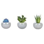 Magnet iris&eacute; d&eacute;co plante artificielle