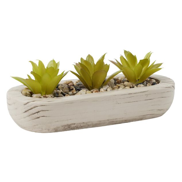 Plante grasse artificielle base ovale ciment imitation bois 18x8xH8cm (2 mod&egrave;les)