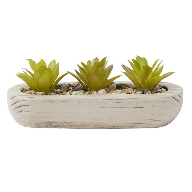 Plante grasse artificielle base ovale ciment imitation bois 18x8xH8cm (2 mod&egrave;les)