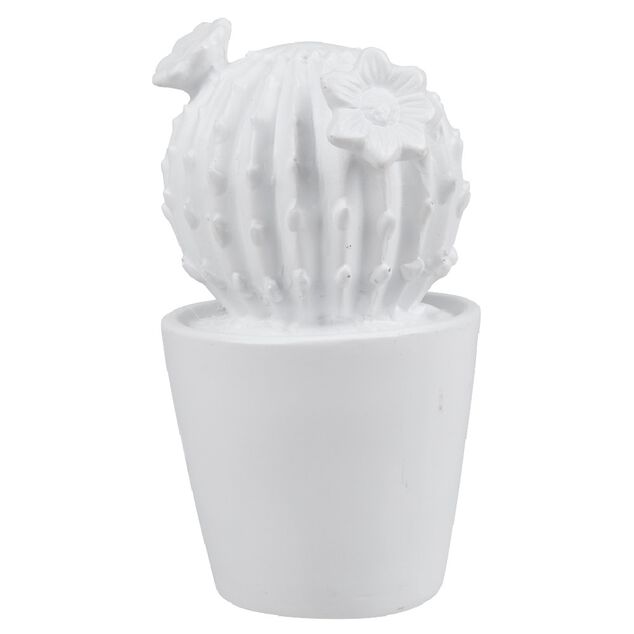 D&eacute;coration pot cactus