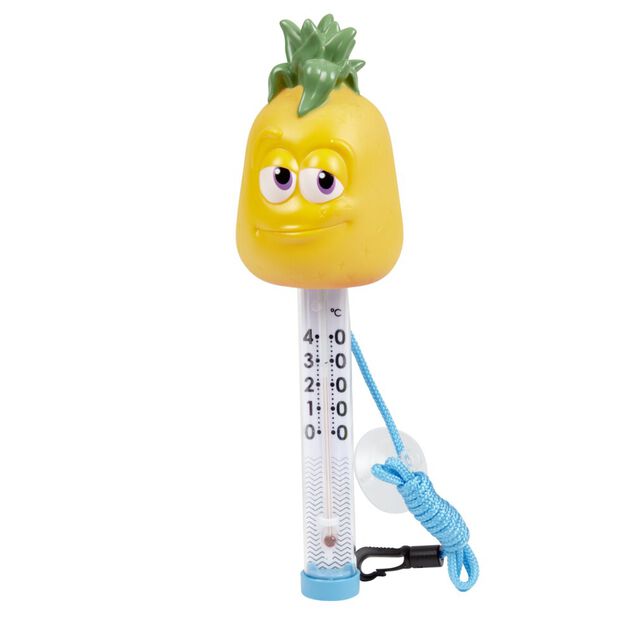 Thermom&egrave;tre piscine fruits