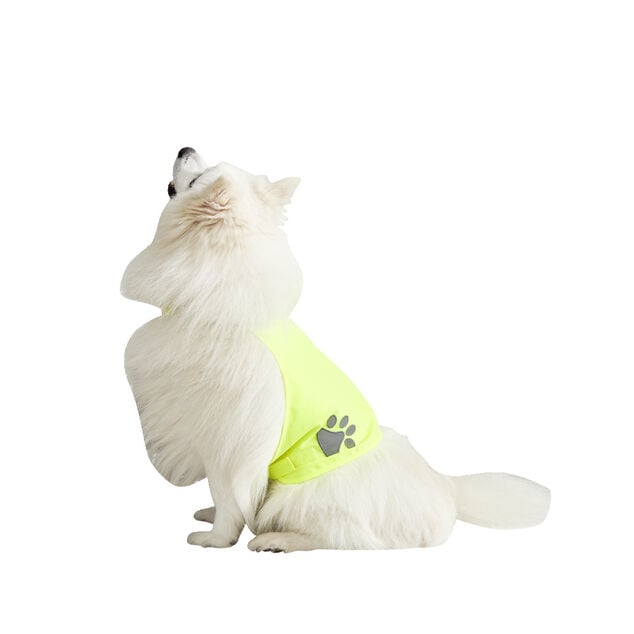 Gilet de s&eacute;curit&eacute; pour chien r&eacute;fl&eacute;chissant Taille M