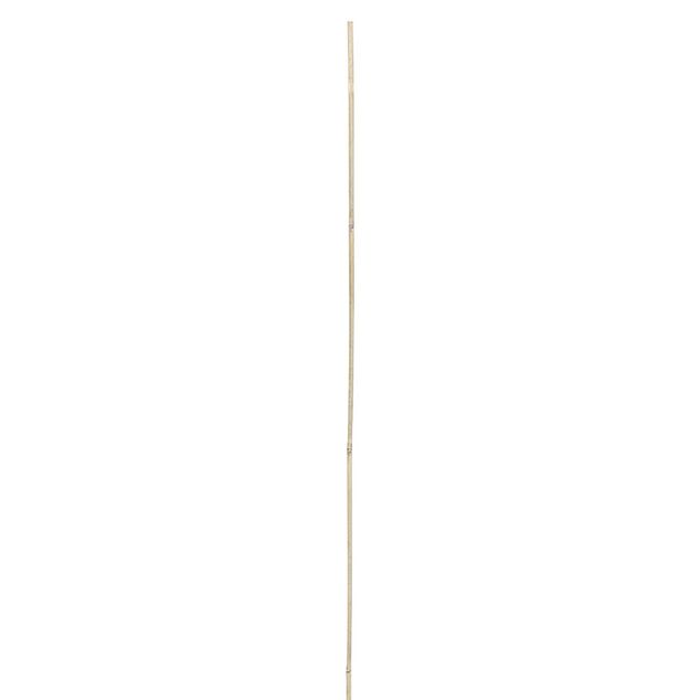 Tuteur bambou &Oslash;1,2xH120cm x8