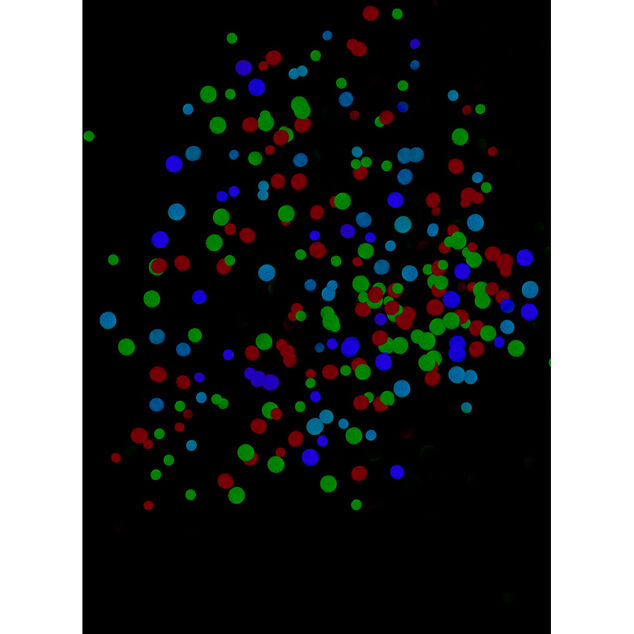 Lot de 3 mini pistolets à confettis - 3 modèles