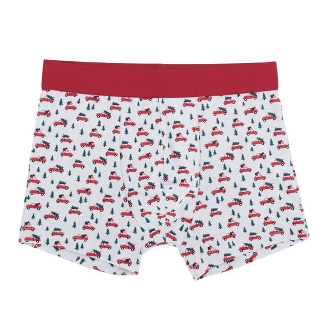 Cale&ccedil;on homme x2 coton bo&icirc;te cadeau No&euml;l S/M/L/XL (2 mod&egrave;les)