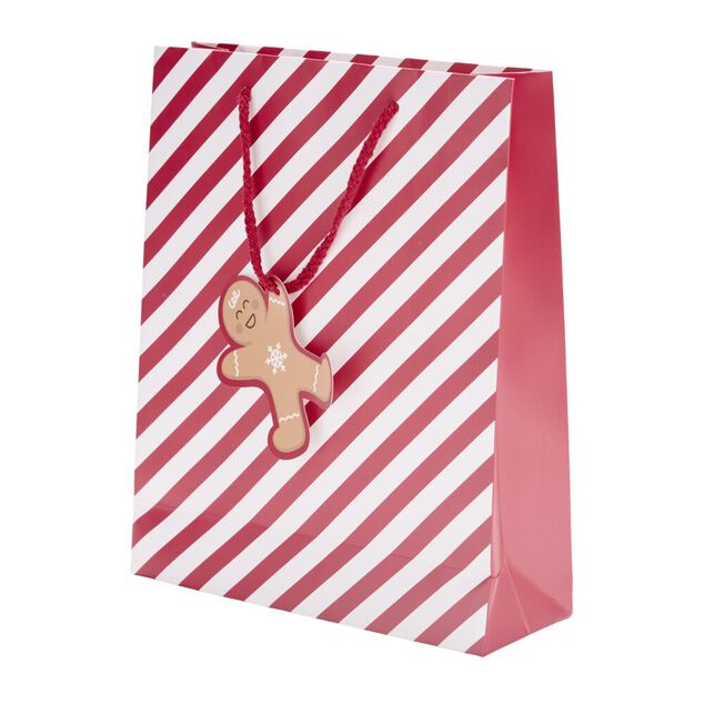Sac cadeau de No&euml;l Candy moyen mod&egrave;le (2 mod&egrave;les)