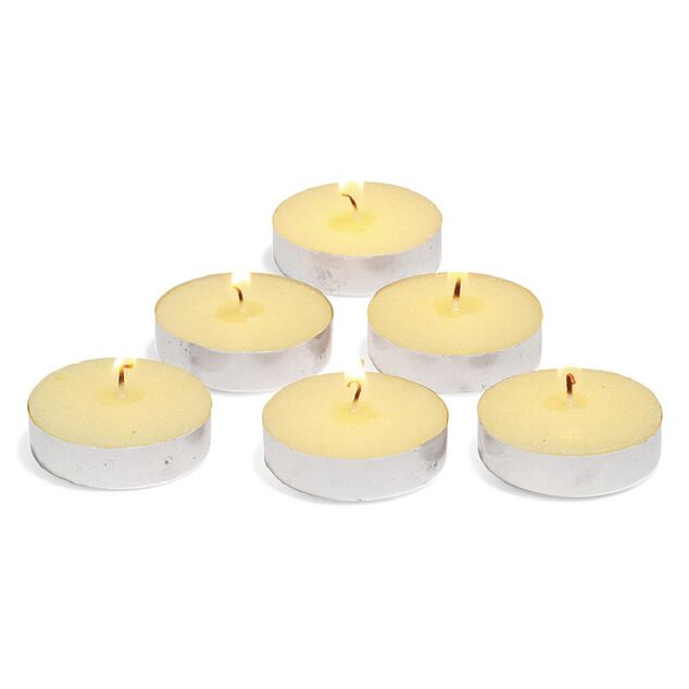 Bougie chauffe plat senteur citronnelle x 100