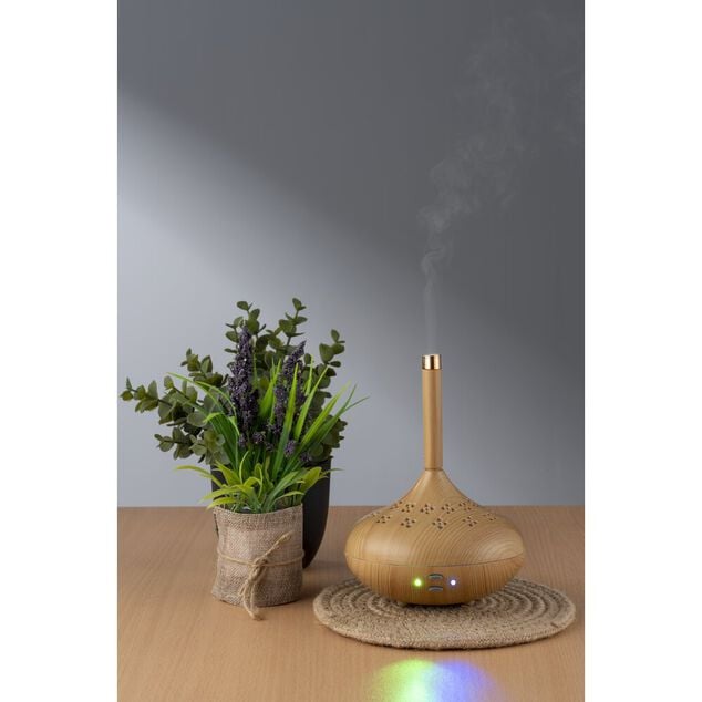 Diffuseur &eacute;lectrique nomade &Oslash;13xH17,6cm
