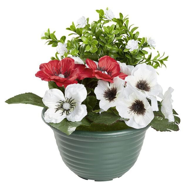 Vasque buis & pens&eacute;e