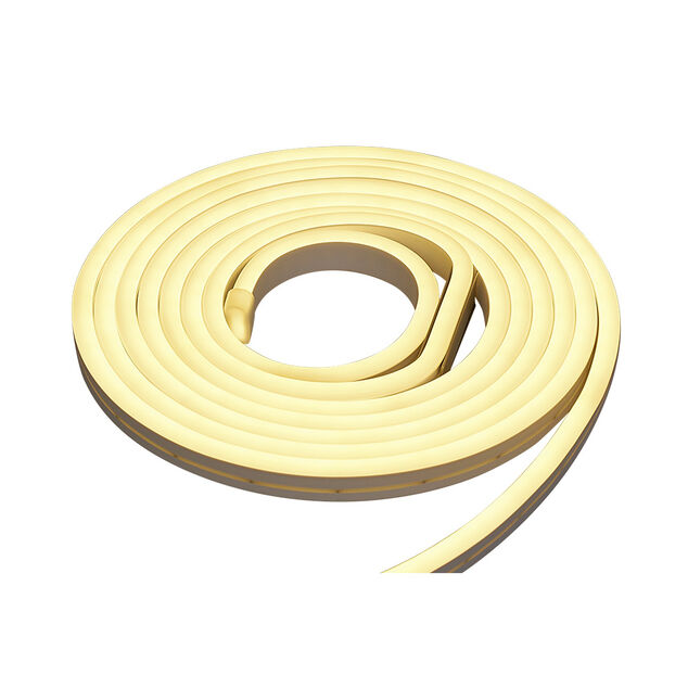 N&eacute;on flexible LED blanc chaud 5m