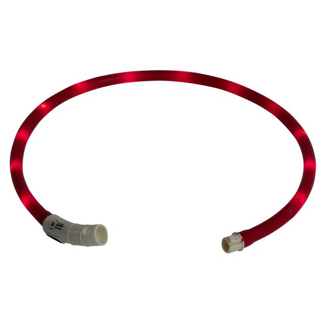 Collier pour chien tube silicone lumineuxLED rechargeable USB